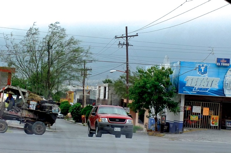 Locomozione a confronto